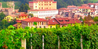 Barolo Barolo