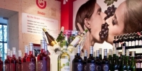 20% korting op alle By The Grape family wijnen 