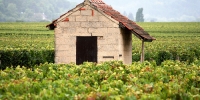 Frankrijk populairste vakantie wijn land